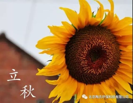 8868.com  祝您立秋快乐